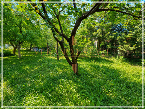 offer-thumbnail