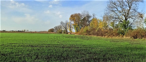 offer-thumbnail