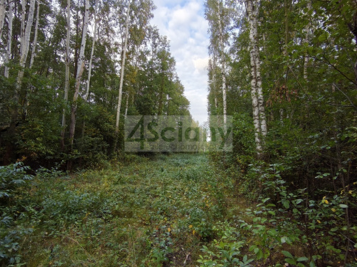 offer-thumbnail