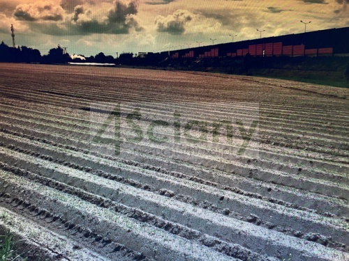 offer-thumbnail