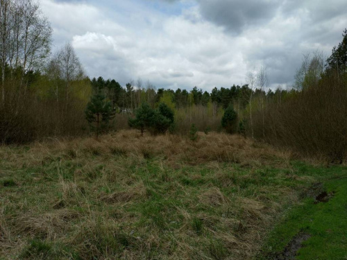 offer-thumbnail